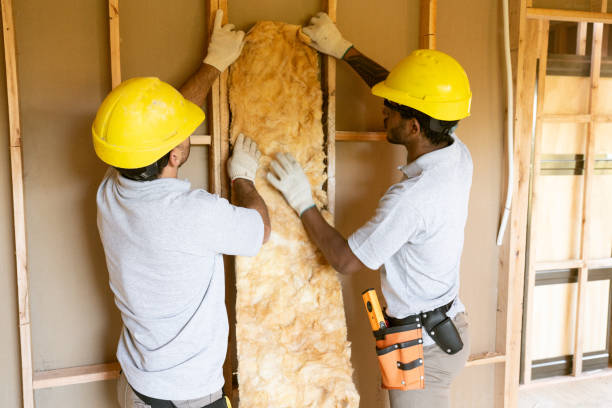 Best Attic Insulation Installation in Susan Moore, AL