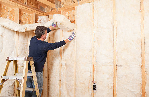 Best Garage Insulation in Susan Moore, AL